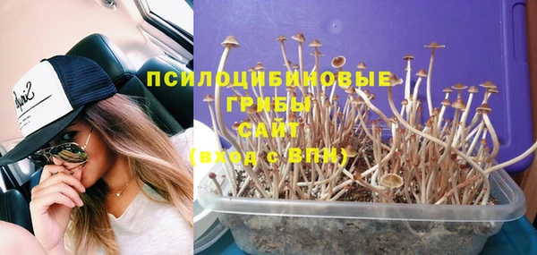 дмт Кодинск