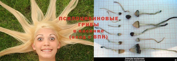 МДМА Козельск