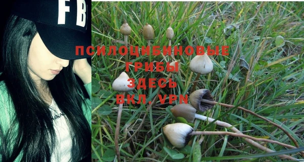 COCAINE Арсеньев
