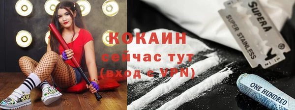 ГАЛЛЮЦИНОГЕННЫЕ ГРИБЫ Аркадак